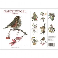 Kartenordner Gartenvögel mit 8 Doppelte Kunstkarten und Umschläge 10.00